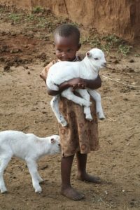 A child hugging a lamb.