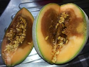 Melon that looks good on the outside but is rotten inside.