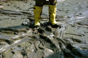 A person standing in the middle of a muddy area.