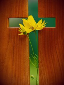 A flower blooming in the middle of the outline of a wooden cross.