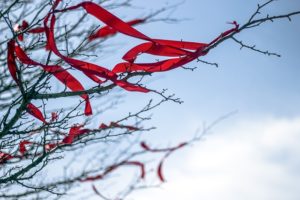 Red ribbons tied in the branches of trees fluttering towards the sky.
