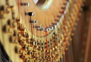 The tension, frequency, and parallel strings of a harp.