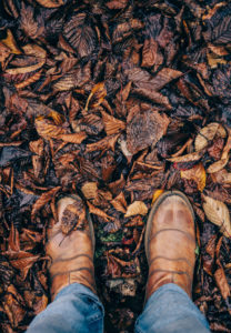 A person in dress shoes, standing among fallen leaves that have changed color.