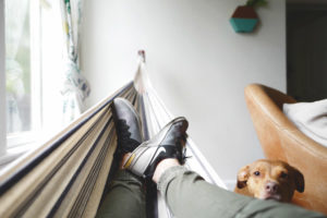 A dog looking at a person resting in a hammock.