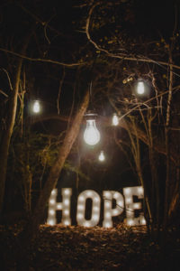 Lights in a tree grove spelling 'Hope'.