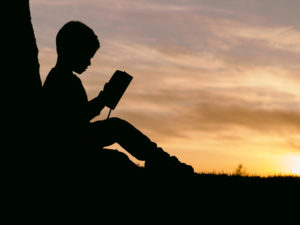 The silhouette of a person reading the Bible under a tree as the sun sets.
