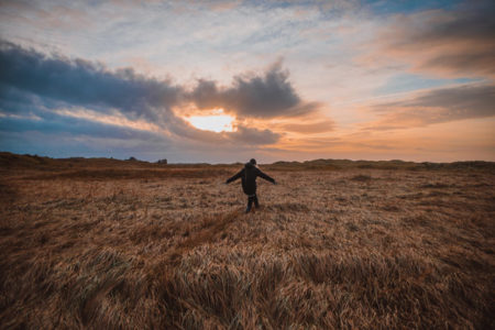 A person wandering a field in the sunset.