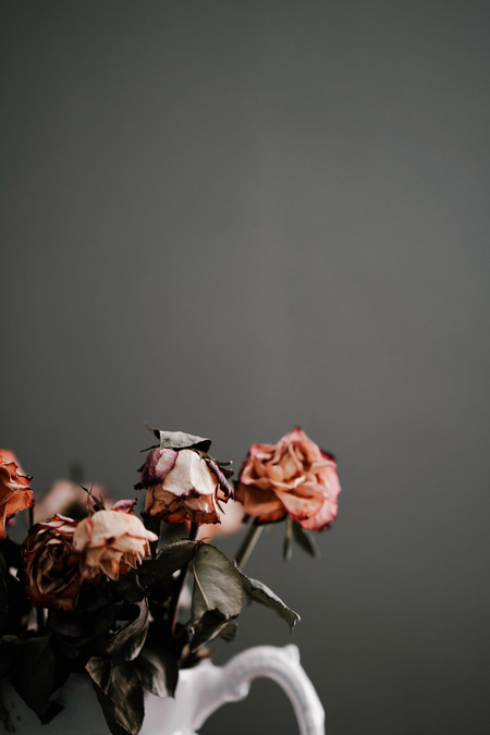 Dead flowers in a vase.